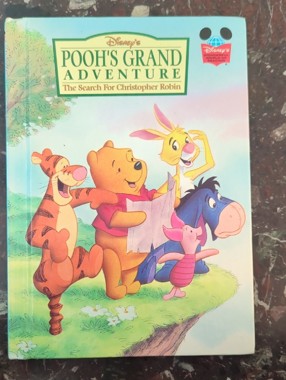 Disney Pooh's Grand Adventure Illustrated Storybook - Yellow, Pink, Blue